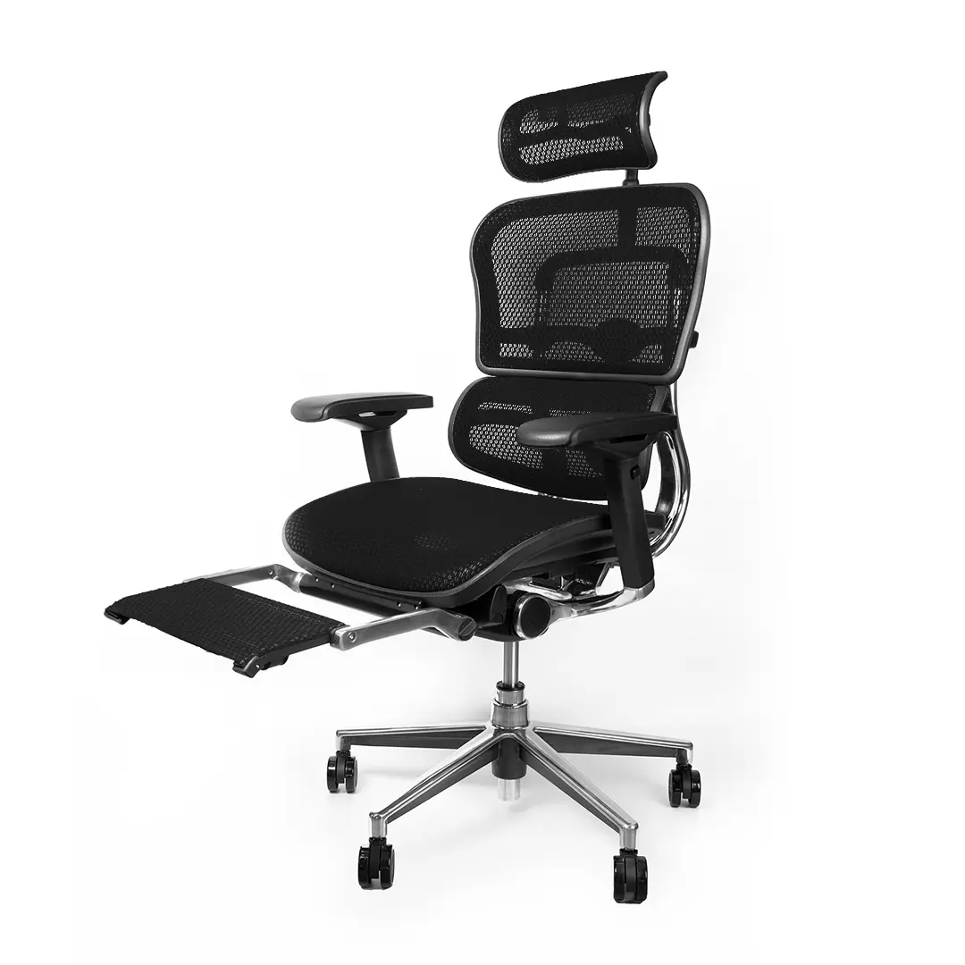 เก้าอี้เพื่อสุขภาพ รุ่น Ergo 2 Plus (T168) | Df Prochair เก้าอี้เพื่อสุขภาพ